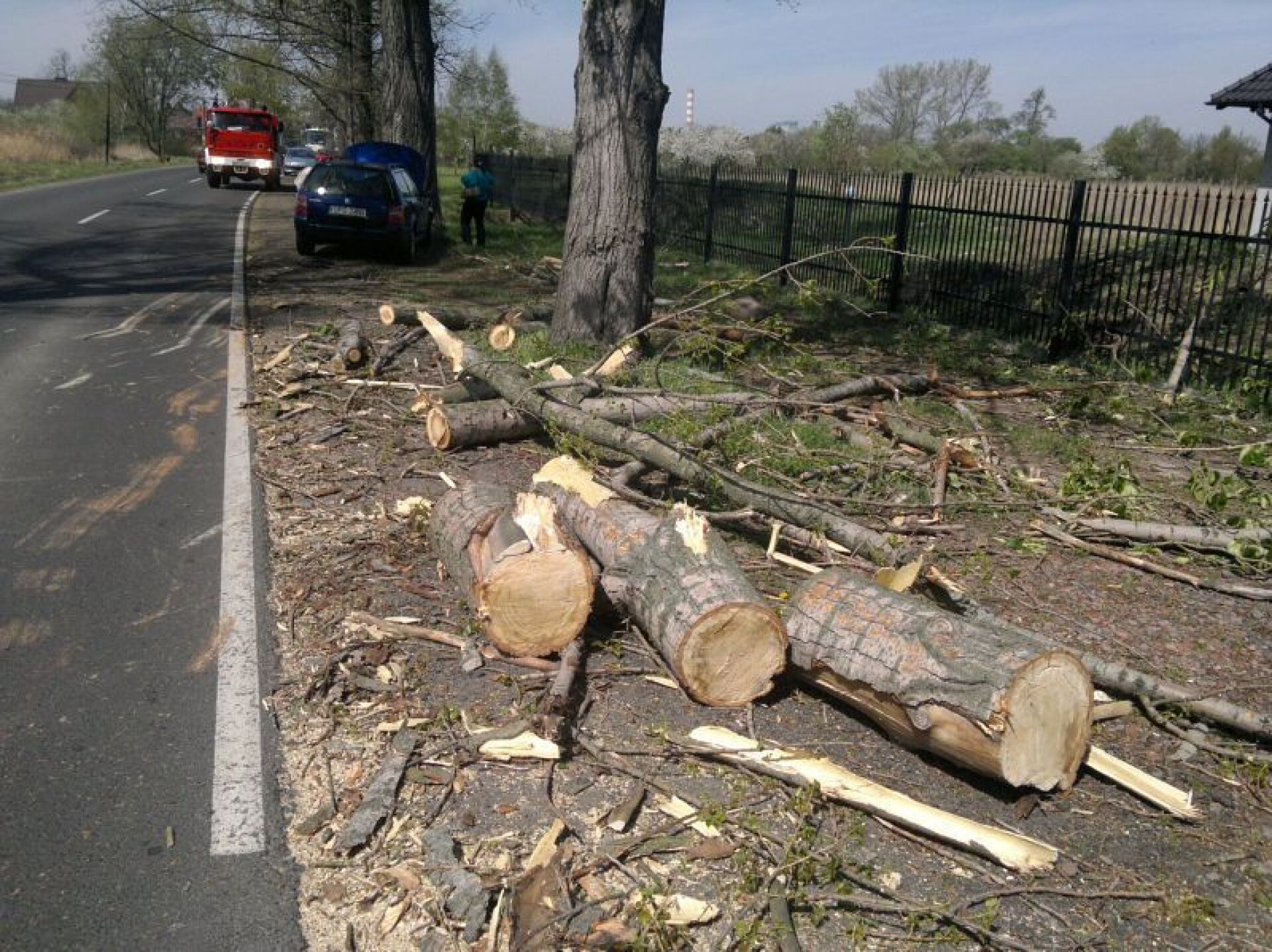 Wiatr powalił drzewo na jadący samochód Meteo w Kontakt 24